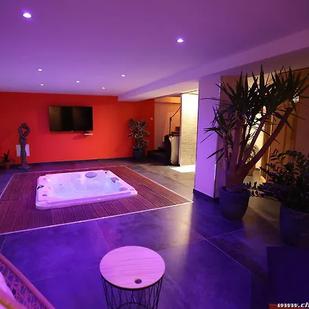 Ds Plaisir Avec Sauna, Jacuzzi A 南锡