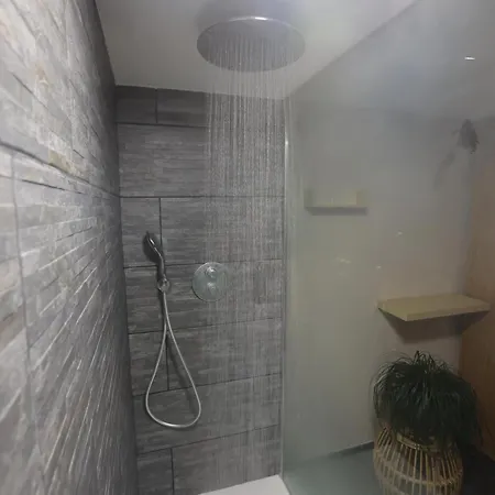 住宿加早餐酒店 Ds Plaisir Avec Sauna, Jacuzzi A 南锡