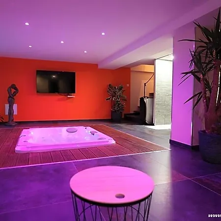Ds Plaisir Avec Sauna, Jacuzzi A 南锡
