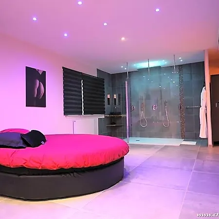 Ds Plaisir Avec Sauna, Jacuzzi A 南锡