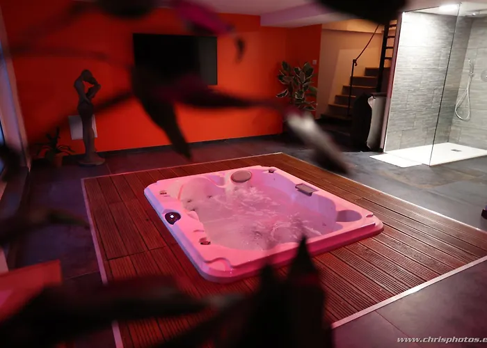 Ds Plaisir Avec Sauna, Jacuzzi A 4*